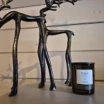 Panorama Retreat Nockblick - Ski, Hike & Relax דירה סנט אוסוולד