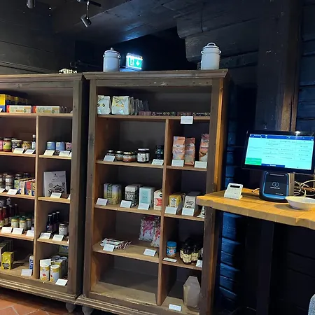 Panorama Retreat Nockblick - Ski, Hike & Relax דירה סנט אוסוולד