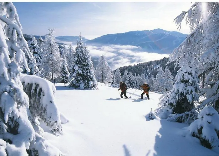 Apartament Panorama Retreat Nockblick - Ski, Hike & Relax